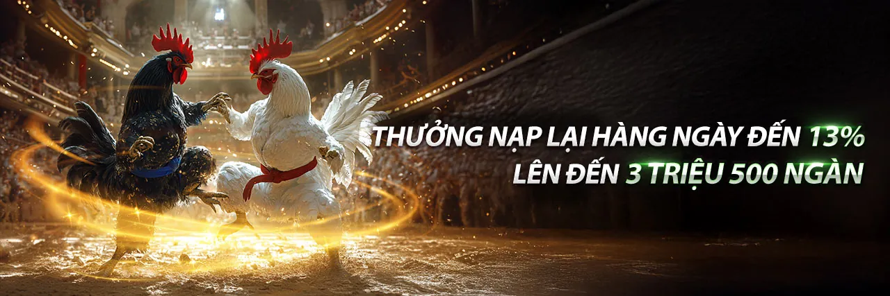 Nền tảng cá cược nota666 hàng đầu Việt Nam